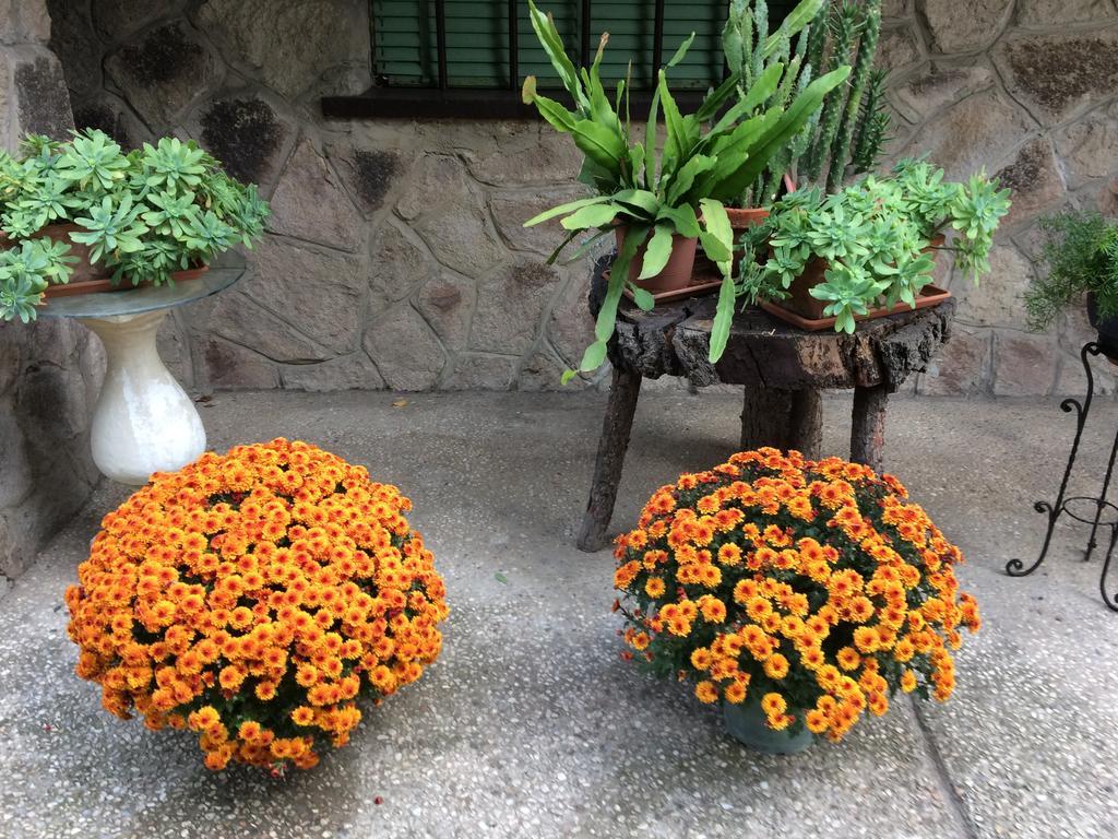Tencarola B & B Ngoại thất bức ảnh
